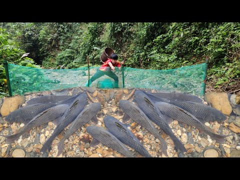 The boy Lam used a fishing net to catch fish in the stream