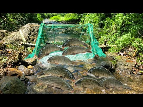 The boy used the net to make a trap to catch fish in the