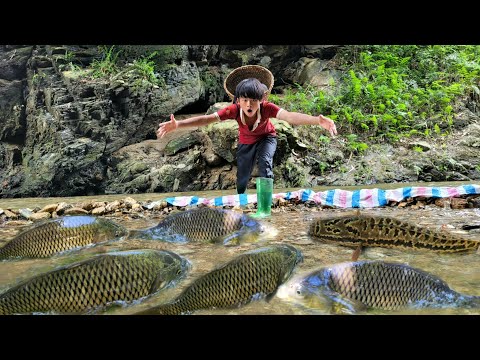 The boy stacked rocks to block the stream and fished with