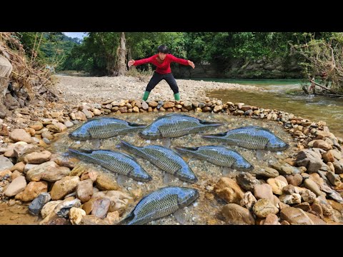 The boy arranged rocks to form a trap right next to the