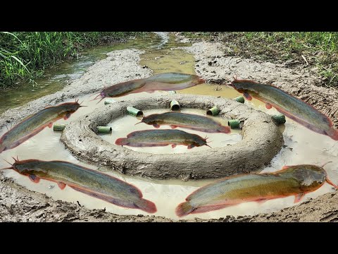 The boy Lam used bamboo tubes to trap fish very effectively