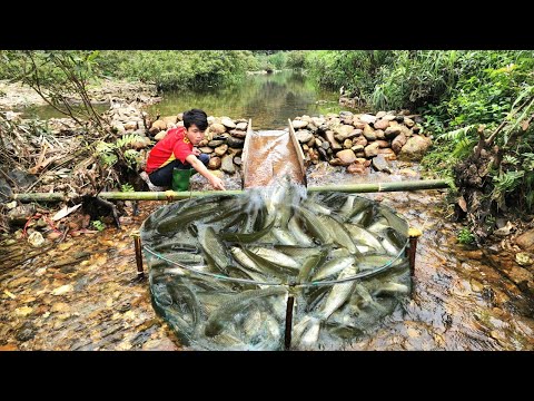 Full video of 120 days of boy Lam creating fish traps and
