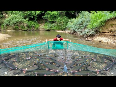 The boy Lam used a net to spread in the stream And caught a