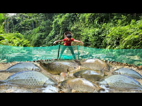 The boy used a net to spread in the stream and luckily