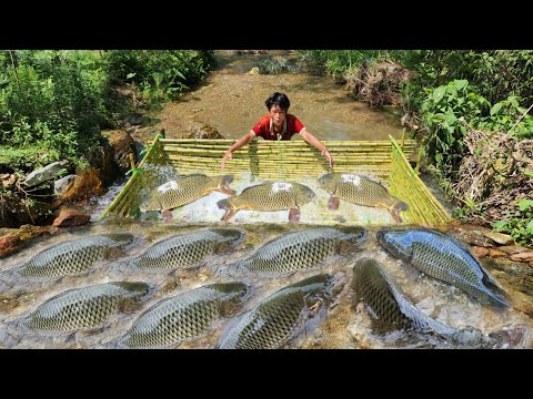 Boy Lam created an ancient fish trap catching many big fish