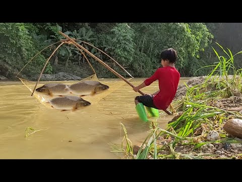 Heavy rain and flood came Lam went to the stream and caught