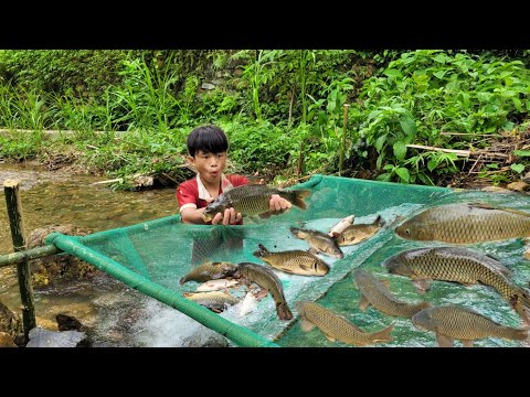 The boy used the net to make a fish trap He unexpectedly