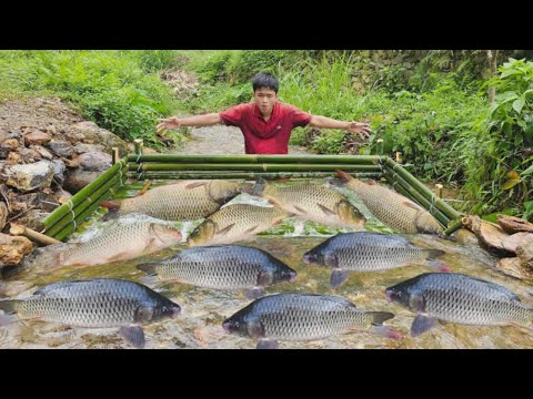 Wild survival skills Making fish traps from bamboo in