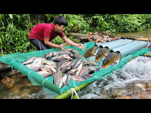 Full video 32 days The boy skillfully made many types of