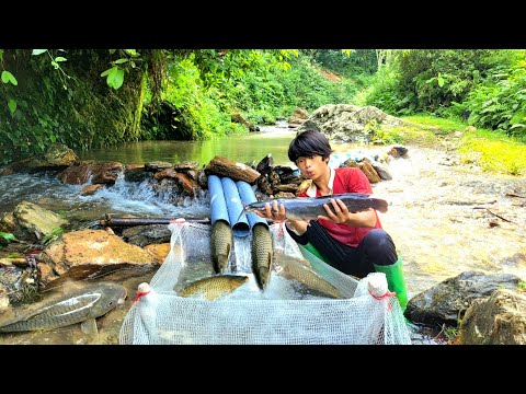 Lam used plastic pipes to trap fish luckily he caught all