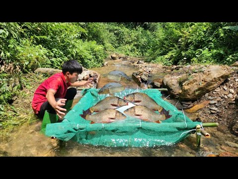 Smart boy makes unique fishing trap in stream Lucky to