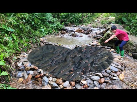 The boy cleverly arranged the stones in the stream together