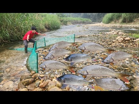 The young man used a green net to catch fish in the stream