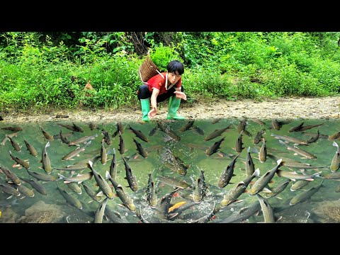 Lam discovered a school of fish in the stream and used his