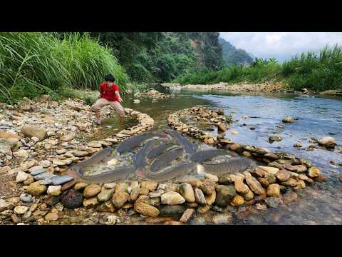 Excellent fishing technique Lam cleverly arranged the