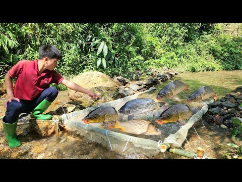 Boy Lam s superb fishing skills caught a large haul of fish