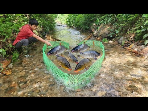 The boy used green net and bamboo to make a fish trap in