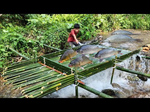 Full Video 90 Days Boy Fishing Using Many Methods To Catch