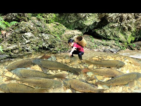 The boy discovered a large school of fish in the stream and