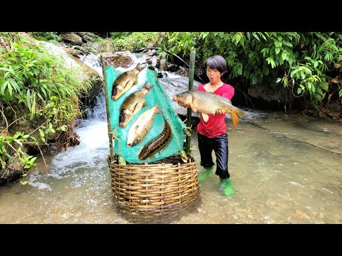 Lam used a net to make a fish trap in the stream and