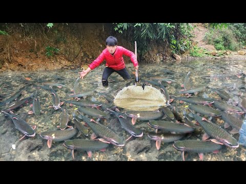 Discovering a school of fish stuck in a puddle the boy used