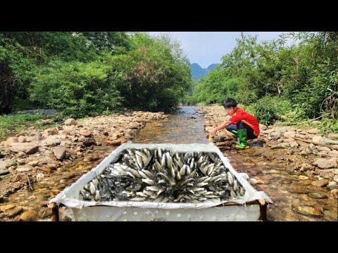 The boy Lam used a punctured tarpaulin to make a fish trap