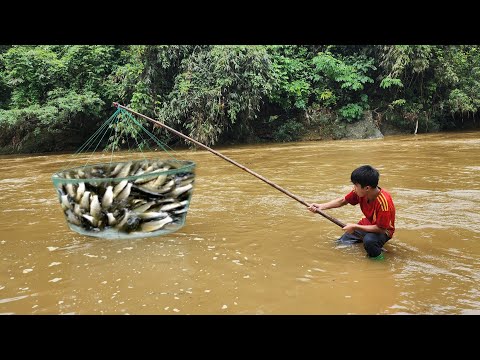 The boy used a blue net to fish in a stream Unexpectedly he