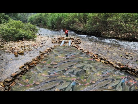 Boy Lam used PVC pipe to make fish trap and caught many big