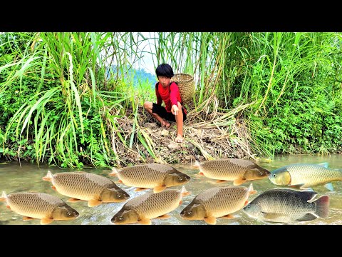 The boy discovered a school of fish in the stream so he