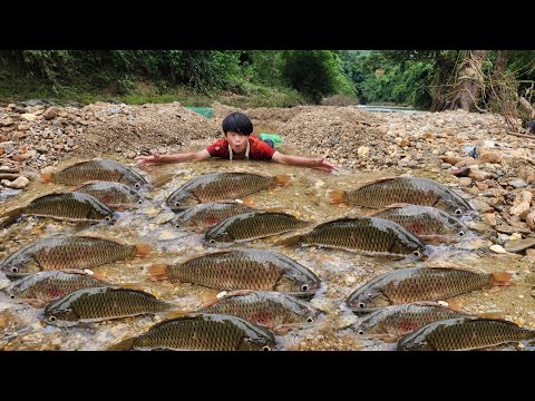 Creating a trap near the stream Lam caught a lot of fish in