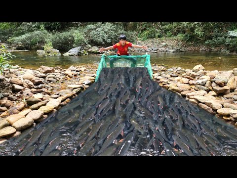 The boy Lam set up a self designed fish trap in the stream