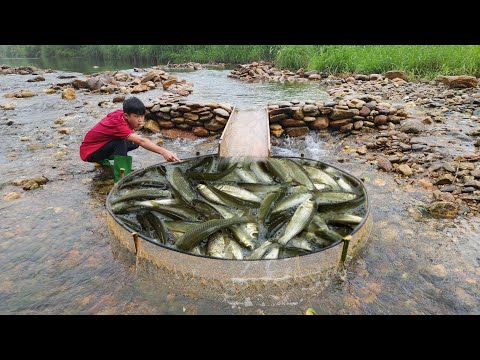 Lucky boy Lam caught a big haul of fish using a trap he