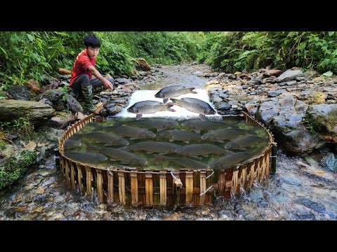The boy used bamboo to make a trap to catch fish in the