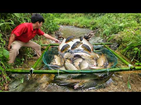 Full video of Lam s long fishing trip and the bountiful