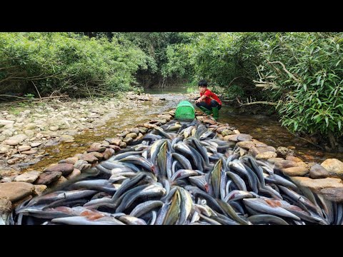 The boy Lam set the green fish trap in the stream and