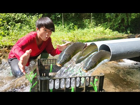 Full video 32 days of making fish traps with PVC pipes and