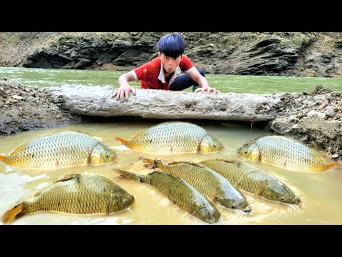 Creating a fish trap near the lake the boy caught many big
