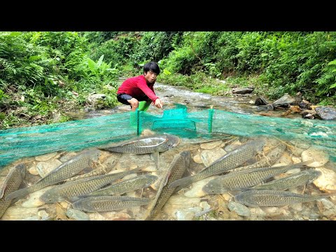 Lam took the net to the stream and luckily caught many fish