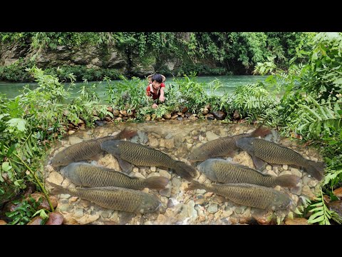 The boy Lam arranged rocks to create a fish trap near the