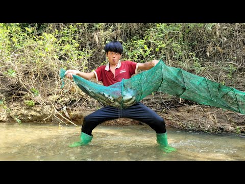 The boy used a bagua net to catch a lot of fish in a big