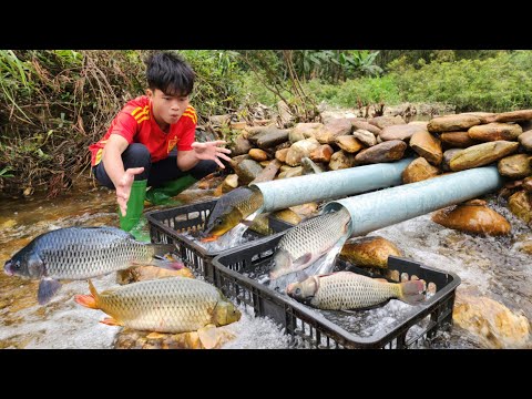 How to fish with PVC pipes unexpectedly caught many fish in