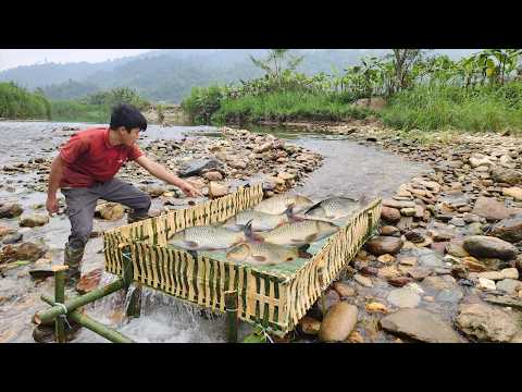 A brilliant fishing idea helped Lam land a bountiful catch
