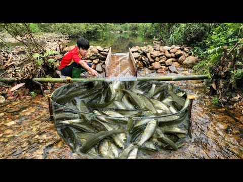 The boy caught a huge catch of fish in a trap he made
