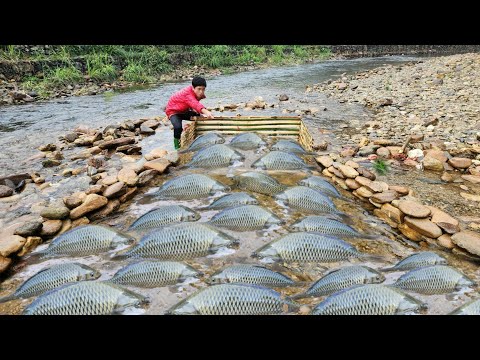 The boy Lam used bamboo to make a fish trap using the