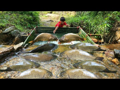 How to trap fish using the ancient method The boy Lam