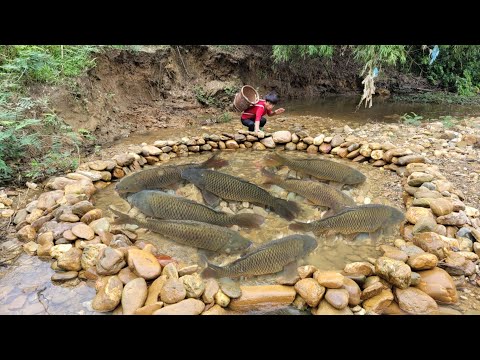 The boy arranged stones into a trap and caught many big