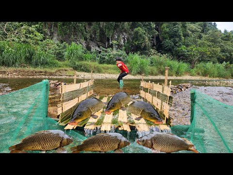 The boy Lam made a very unique bamboo fish trap and caught