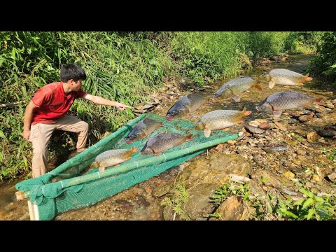 Details of 65 days of fishing in the stream and catching a