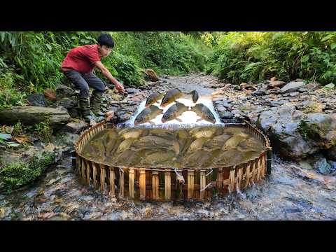 The ancient method of trapping fish with bamboo has proven