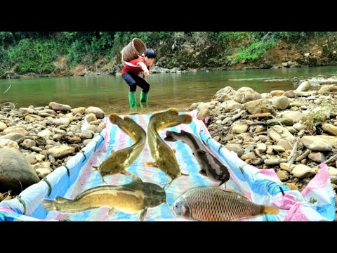 Full video 28 days 13 year old boy hunts fish in the stream